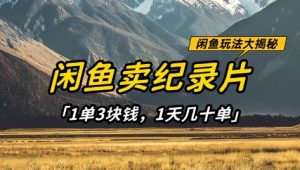 闲鱼卖纪录片1单3块钱，1天几十单，项目稳定有潜力_网创资源库