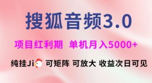 搜狐音频挂ji3.0.可矩阵可放大，独家技术，稳定月入5000+【揭秘】_网创资源库