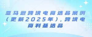 亚马逊跨境电商选品案例(更新2025年2月)，跨境电商利基选品_网创资源库