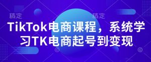 TikTok电商课程，​系统学习TK电商起号到变现_网创资源库
