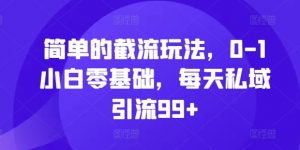 简单的截流玩法，0-1小白零基础，每天私域引流99+【揭秘】_网创资源库