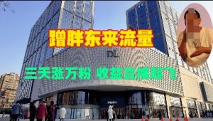 蹭胖东来流量，三天涨万粉，收益直接起飞_网创资源库