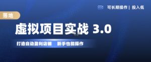 虚拟项目实战3.0，打造自动盈利店铺，可长期操作投入低，新手也能操作_网创资源库