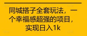 同城搭子全套玩法，一个幸福感超强的项目，实现日入1k【揭秘】_网创资源库
