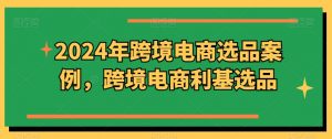 2024年跨境电商选品案例，跨境电商利基选品（更新11月）_网创资源库