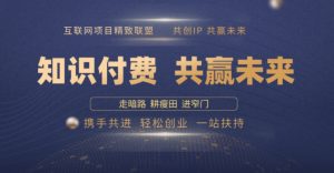 别人苦寻无果，为何他们靠知识付费卖项目 2025 年轻松年入100个?【揭秘】_网创资源库
