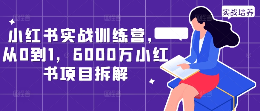 小红书实战训练营，从0到1，6000万小红书项目拆解_网创资源库