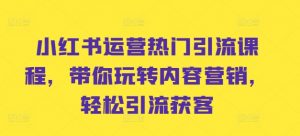小红书运营热门引流课程，带你玩转内容营销，轻松引流获客_网创资源库