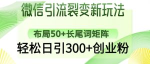 微信引流裂变新玩法：布局50+长尾词矩阵，轻松日引300+创业粉_网创资源库