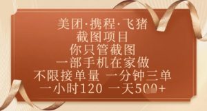 飞猪美团截图项目，你只管截图，一部手机在家做，正规平台无套路，一天5张+【揭秘】_网创资源库
