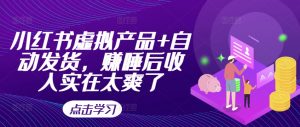 小红书虚拟产品+自动发货，赚睡后收入实在太爽了_网创资源库
