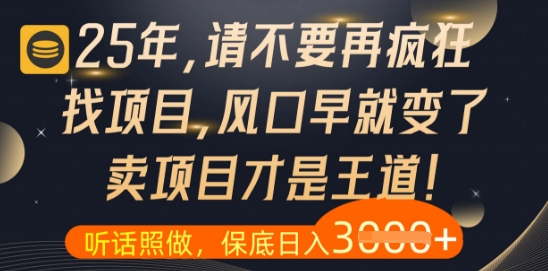 什么？25年你还在疯狂找项目做，醒醒吧，看完这些你全都懂了【揭秘】_网创资源库