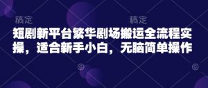 短剧新平台繁华剧场搬运全流程实操，适合新手小白，无脑简单操作_网创资源库