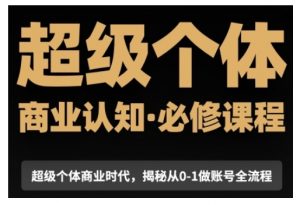 超级个体商业认知觉醒视频课，商业认知·必修课程揭秘从0-1账号全流程_网创资源库