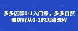 多多店群0-1入门课，多多自然流店群从0-1的思路流程_网创资源库