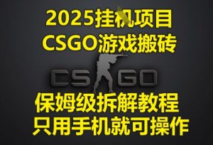2025挂G项目，CSGO游戏搬砖，保姆级拆解教程，只用手机就可操作【揭秘】_网创资源库