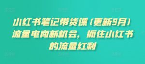 小红书笔记带货课(更新12月)流量电商新机会，抓住小红书的流量红利_网创资源库