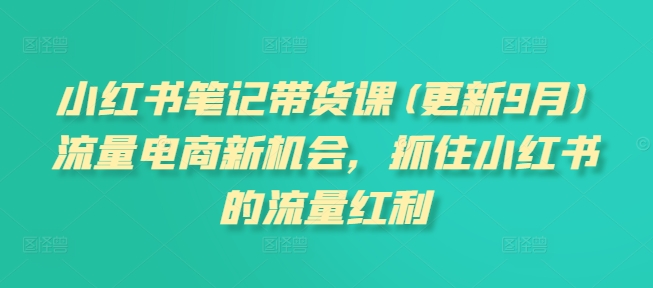小红书笔记带货课(更新12月)流量电商新机会，抓住小红书的流量红利_网创资源库