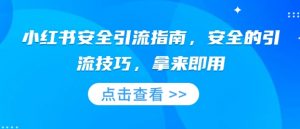 小红书安全引流指南，安全的引流技巧，拿来即用_网创资源库