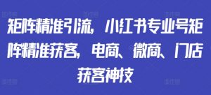 矩阵精准引流，小红书专业号矩阵精准获客，电商、微商、门店获客神技_网创资源库
