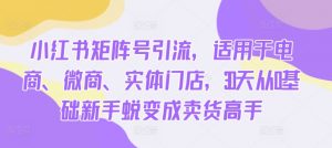 小红书矩阵号引流，适用于电商、微商、实体门店，30天从0基础新手蜕变成卖货高手_网创资源库