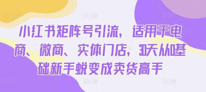 小红书矩阵号引流，适用于电商、微商、实体门店，30天从0基础新手蜕变成卖货高手_网创资源库