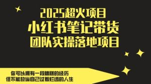 2025超火项目，副业最佳选择，小红书笔记带货团队实操落地项目，，轻松日入5张_网创资源库