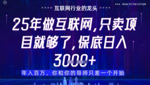 什么！25年你还在找项目做？风口早就变了，卖项目才是稳挣不赔【揭秘】_网创资源库