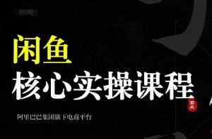 2024闲鱼核心实操课程，从养号、选品、发布、销售，教你做一个出单的闲鱼号_网创资源库