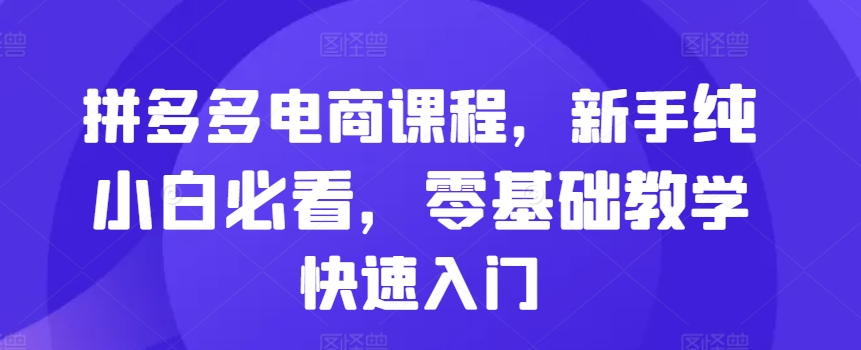 拼多多电商课程，新手纯小白必看，零基础教学快速入门_网创资源库