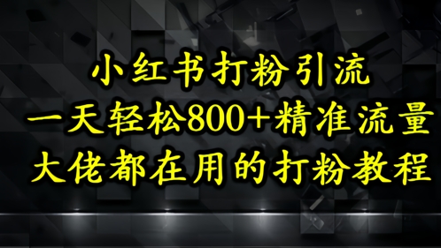 小红书打粉引流，一天轻松500+精准流量，大佬都在用的打粉教程_网创资源库