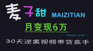 麦子甜30天逆袭视频带货高手，单月变现6W加特训营_网创资源库