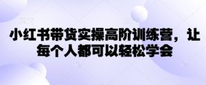 小红书带货实操高阶训练营，让每个人都可以轻松学会_网创资源库