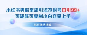 小红书男粉常规引流不封号日引99+变现简单 可矩阵可复制小白容易上手_网创资源库
