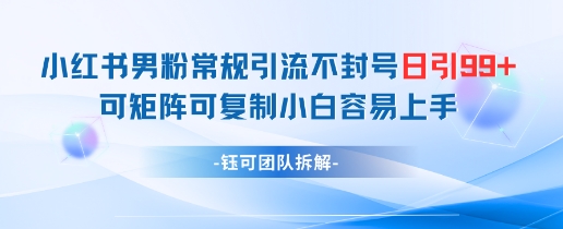 小红书男粉常规引流不封号日引99+变现简单 可矩阵可复制小白容易上手_网创资源库