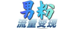 男粉流量+网盘拉新变现，轻松一天3-5张，0基础可学，白嫖来_网创资源库