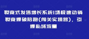 裂变式发售增长系统1场极速动销裂变爆破陪跑(闯关实操营)，引爆私域流量_网创资源库