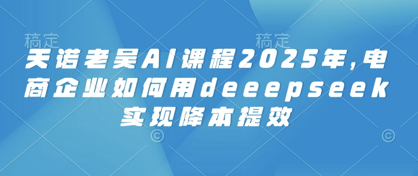 天诺老吴AI课程2025年，电商企业如何用deeepseek实现降本提效_网创资源库
