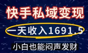 一天收入1691.5，快手私域变现，小白也能闷声发财_网创资源库