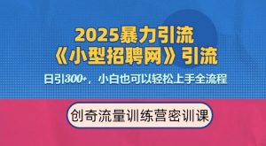 2025最新暴力引流方法，招聘平台一天引流300+，日变现多张，专业人士力荐_网创资源库