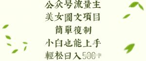流量主长期收益项目，美女图片简单复制，小白也能上手，轻松日入5张_网创资源库