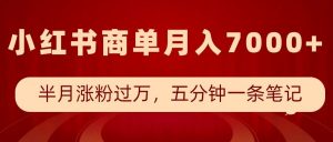 小红书商单最新玩法，半个月涨粉过万，五分钟一条笔记，月入7000+_网创资源库