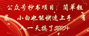 公众号抄书项目，简单粗暴，小白也能快速上手，有人一天搞了1k+_网创资源库