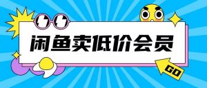 外面收费998的闲鱼低价充值会员搬砖玩法号称日入200+_网创资源库