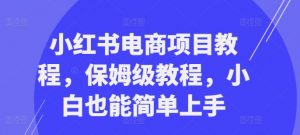 小红书电商项目教程，保姆级教程，小白也能简单上手_网创资源库