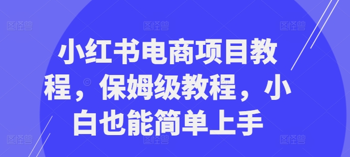 小红书电商项目教程，保姆级教程，小白也能简单上手_网创资源库