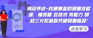 销冠养成-软硬兼备的销售技能课，懂策略 会技术 有能力 销冠三火轮助你突破销售瓶颈!_网创资源库