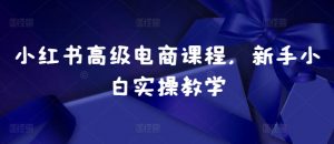 小红书高级电商课程，新手小白实操教学_网创资源库