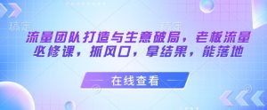 流量团队打造与生意破局，老板流量必修课，抓风口，拿结果，能落地_网创资源库
