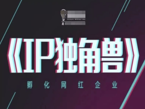 IP独角兽，孵化网红企业，ip教程_网创资源库
